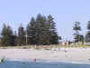 124-2469_IMG.JPG (77249 bytes)