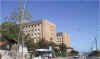 freohospital.jpg (93796 bytes)
