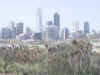 kangaroopoor.jpg (44069 bytes)