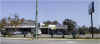 lonestarmado.jpg (50592 bytes)